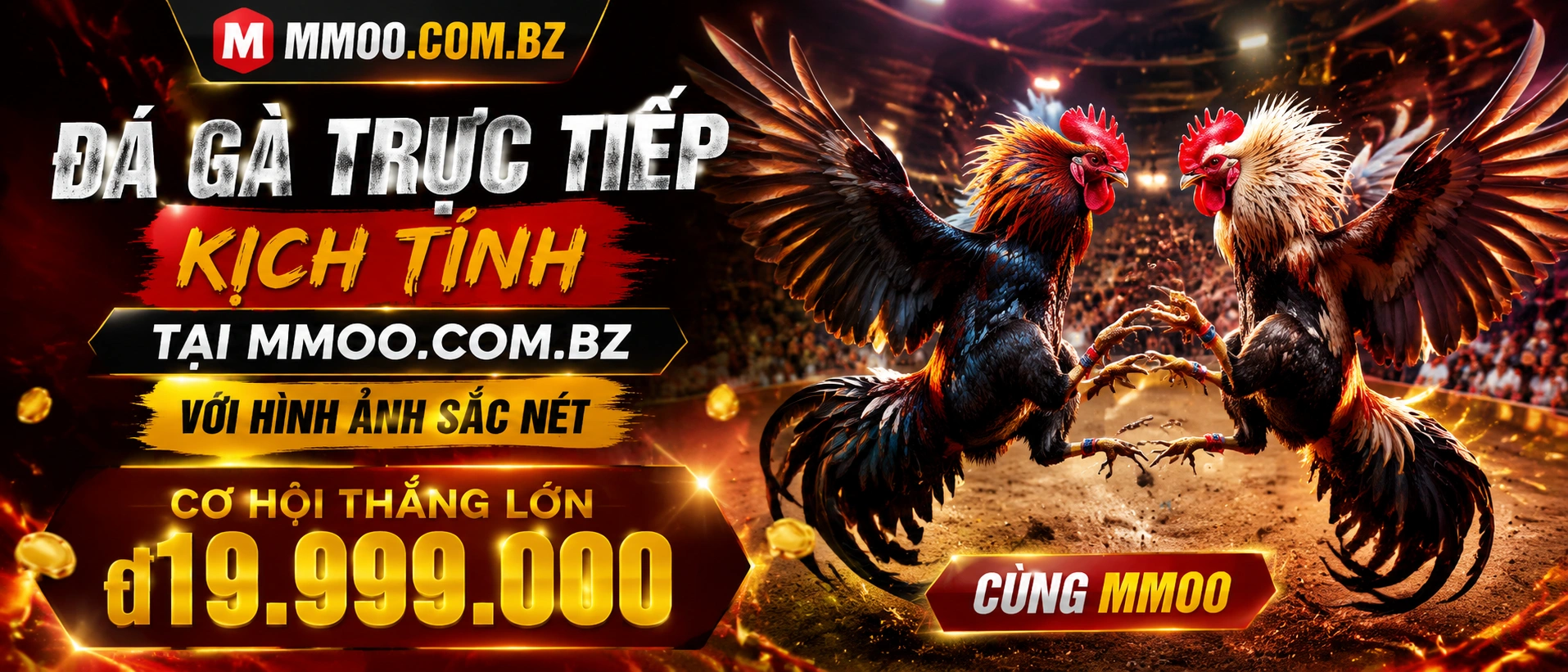 Trang Đá Gà mmoo